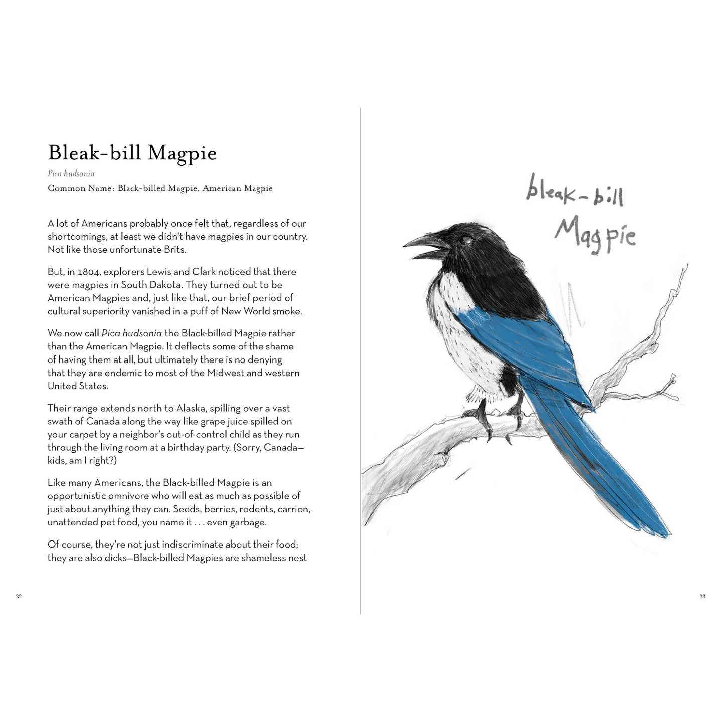 A Dumb Birds Field Guide to the Worst Birds Ever - Image 2