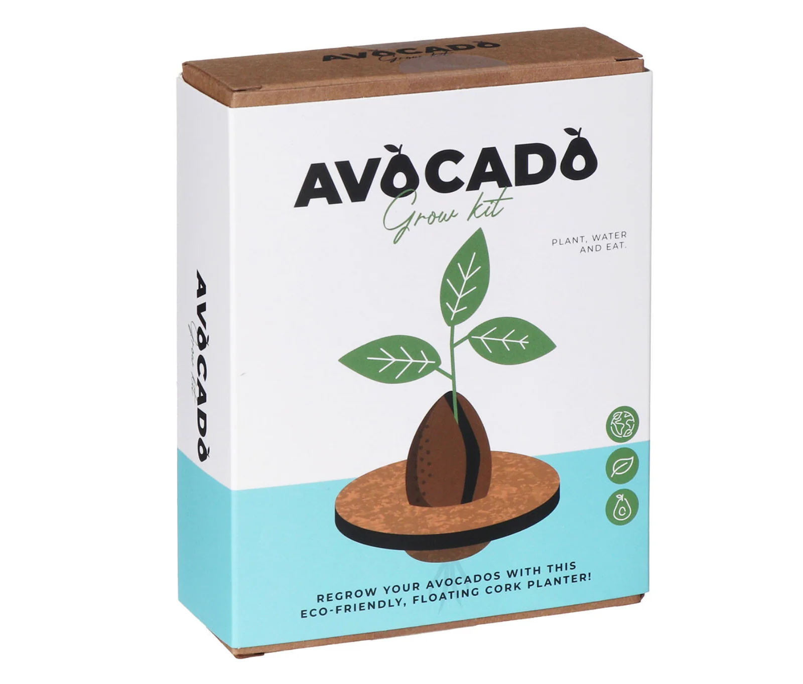 Avocado Grow Kit