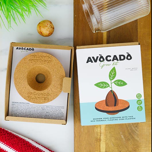 Avocado Grow Kit - Image 2