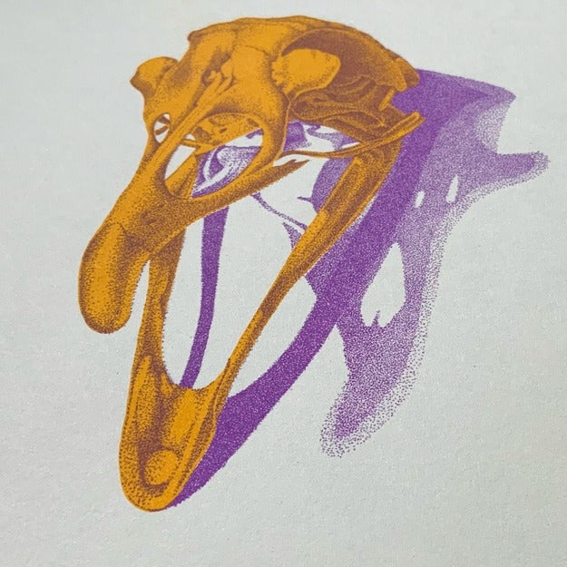 Bird Skull Risograph Print