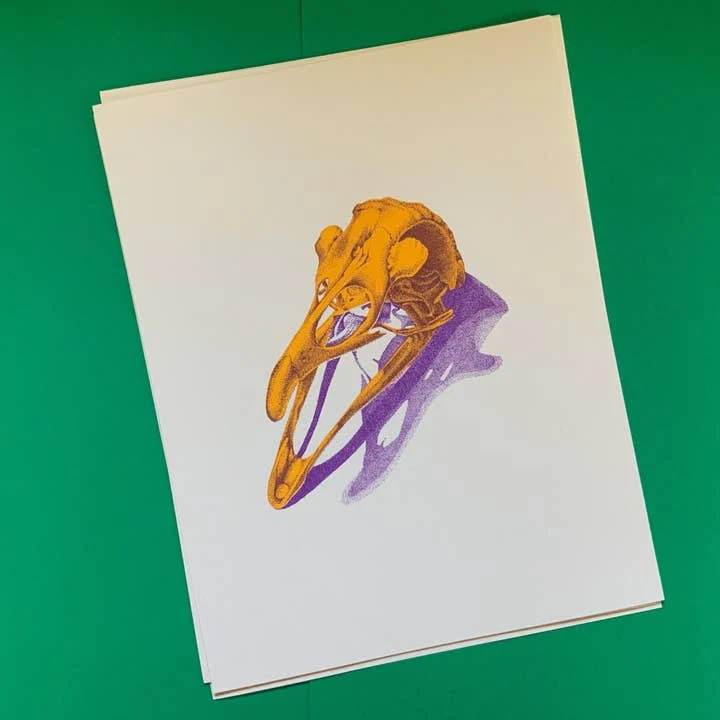 Bird Skull Risograph Print - Image 2