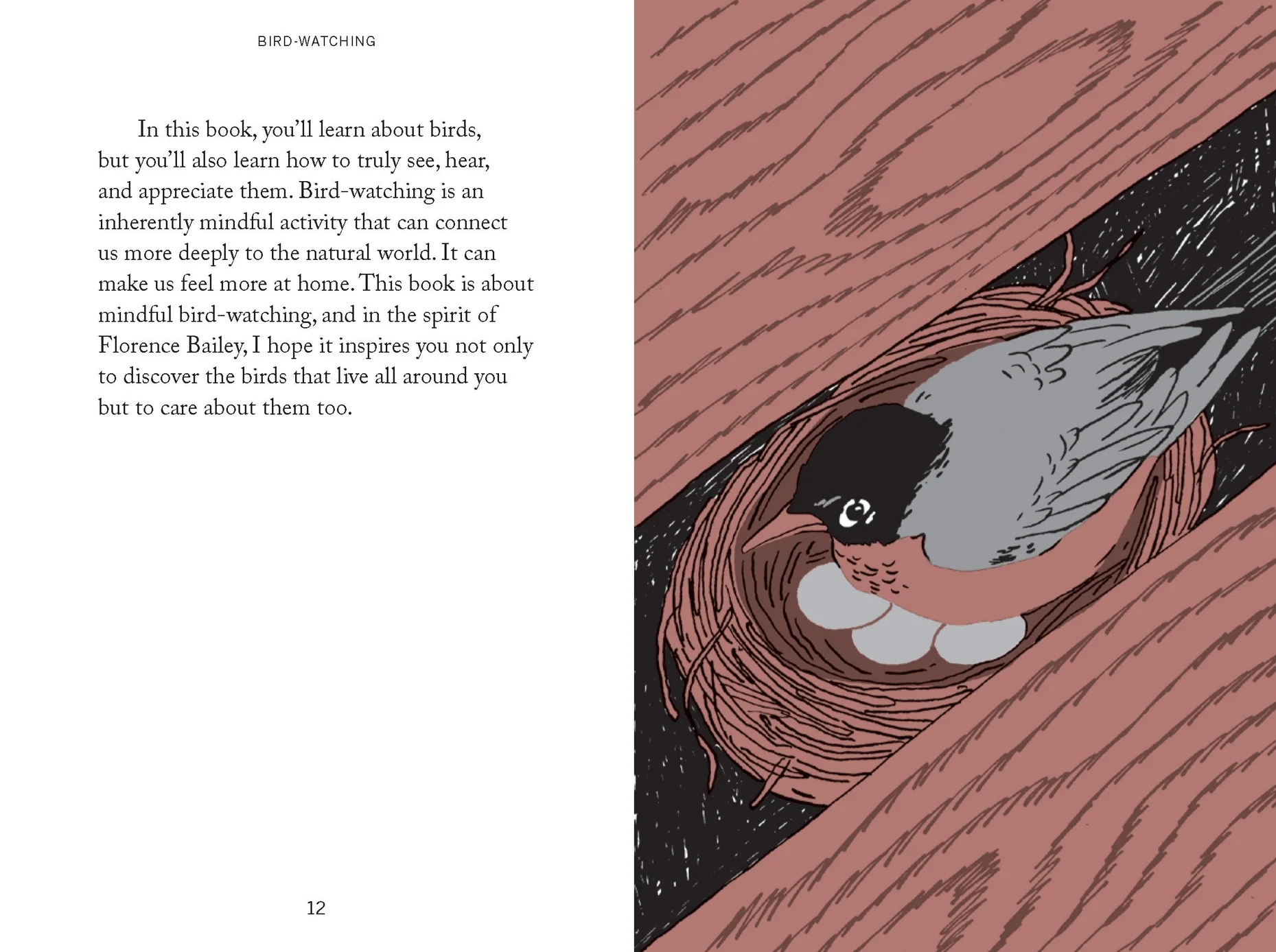 Bird Watching Book- Pocket Nature - Image 4