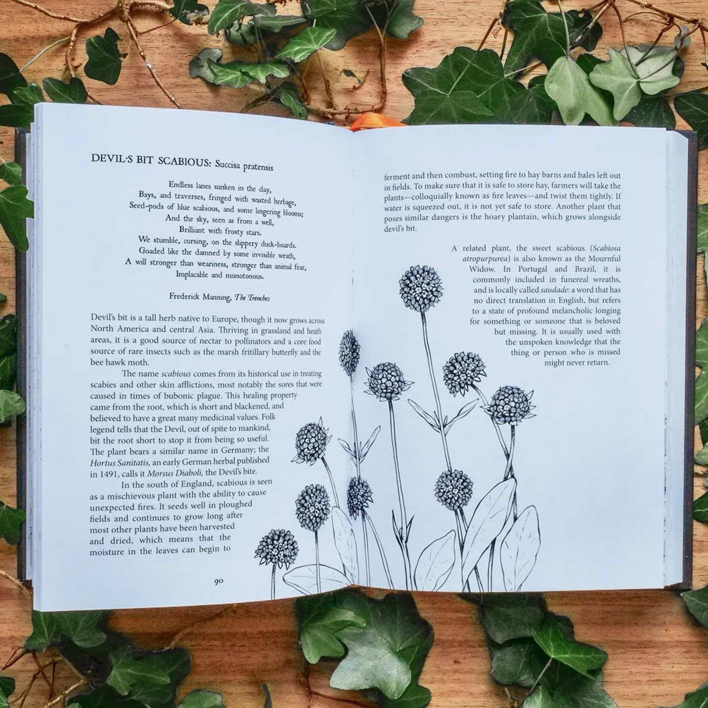 Botanical Curses and Poisons - Image 3