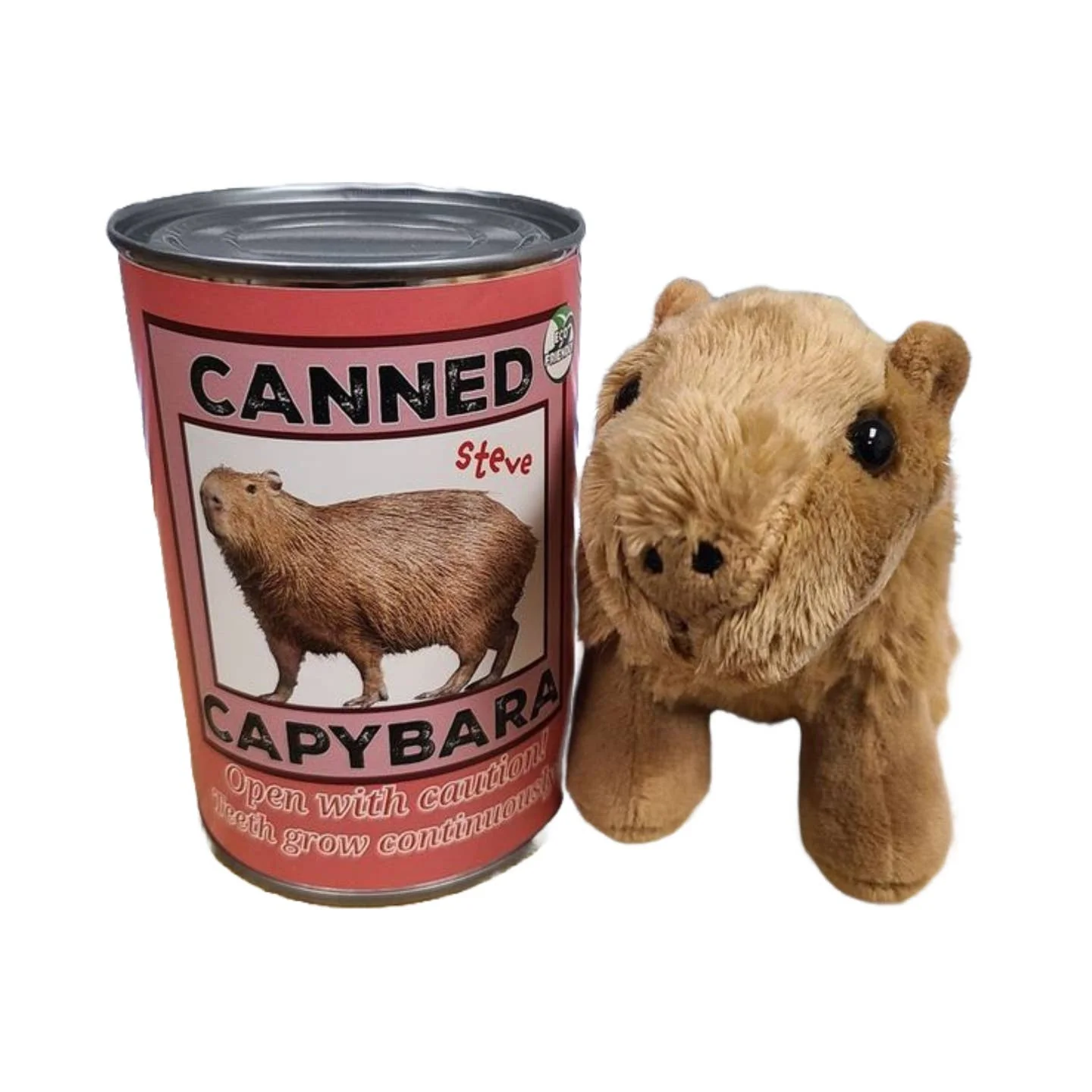 Steve the Canned Capybara