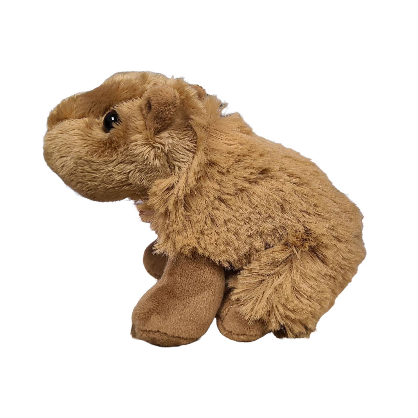 Steve the Canned Capybara - Image 2