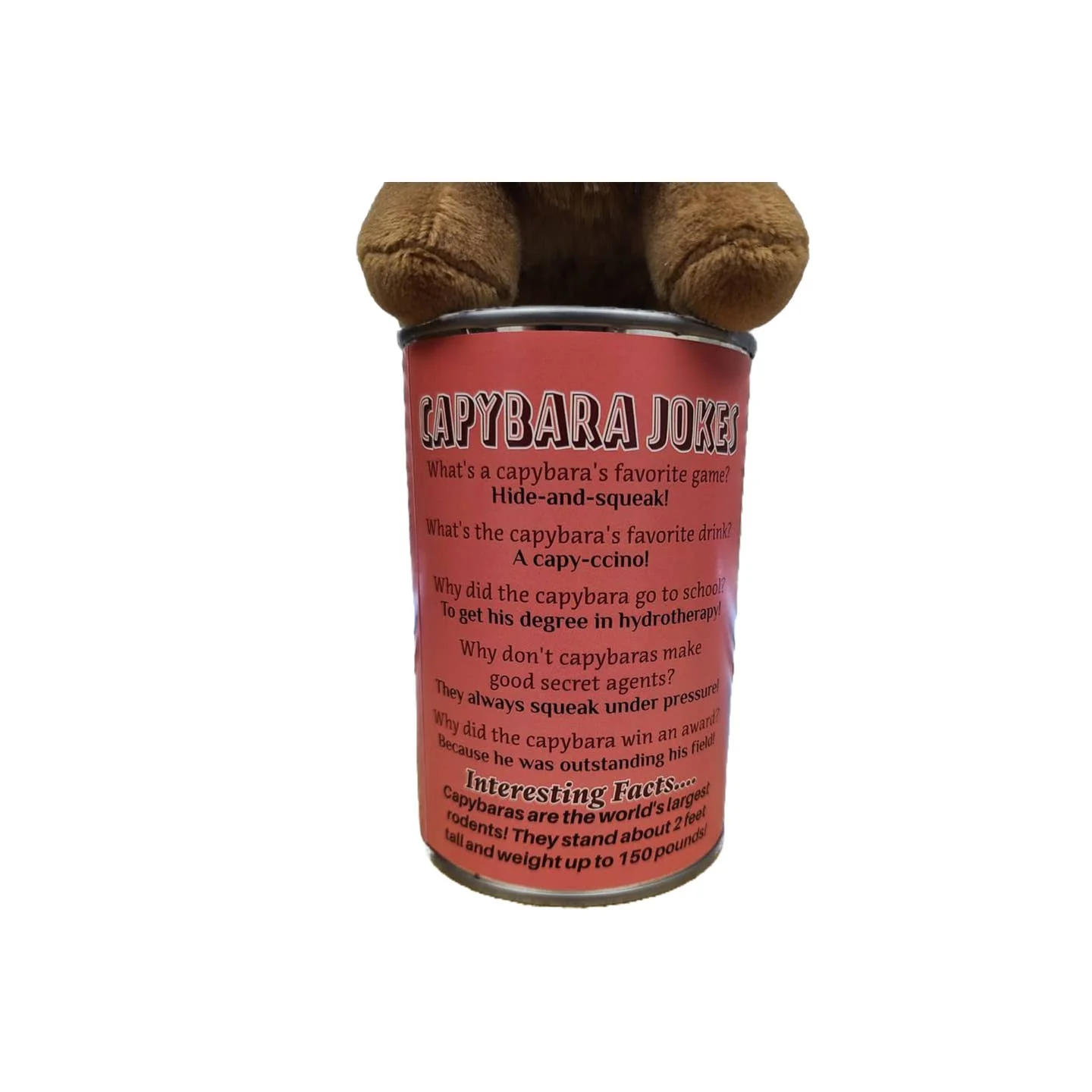 Steve the Canned Capybara - Image 3