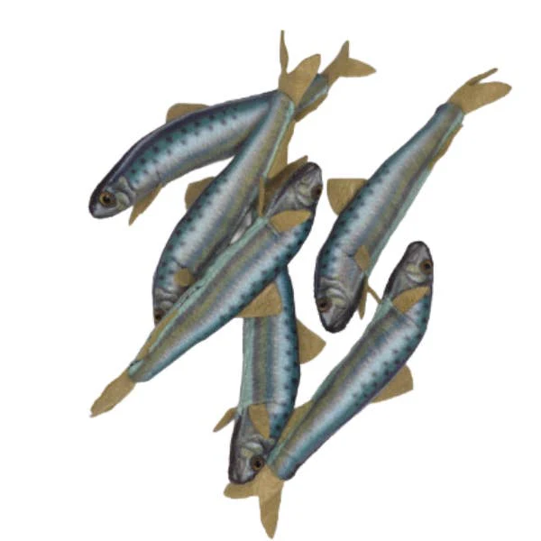 Canned Sardines - Image 2