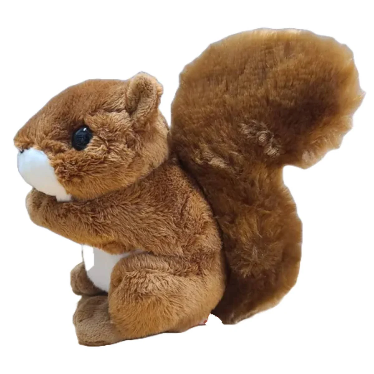 Scrappy the Canned Squirrel - Image 2
