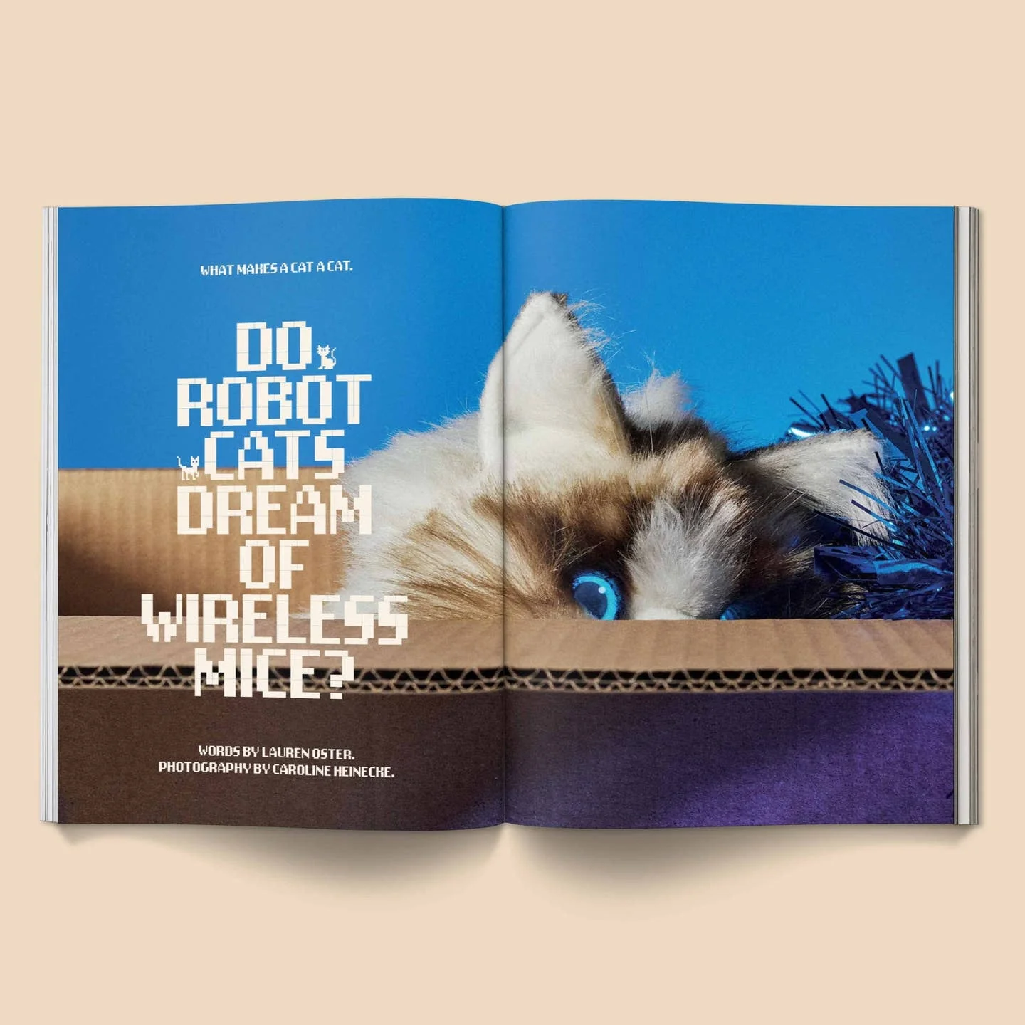 Catnip Magazine - Image 3