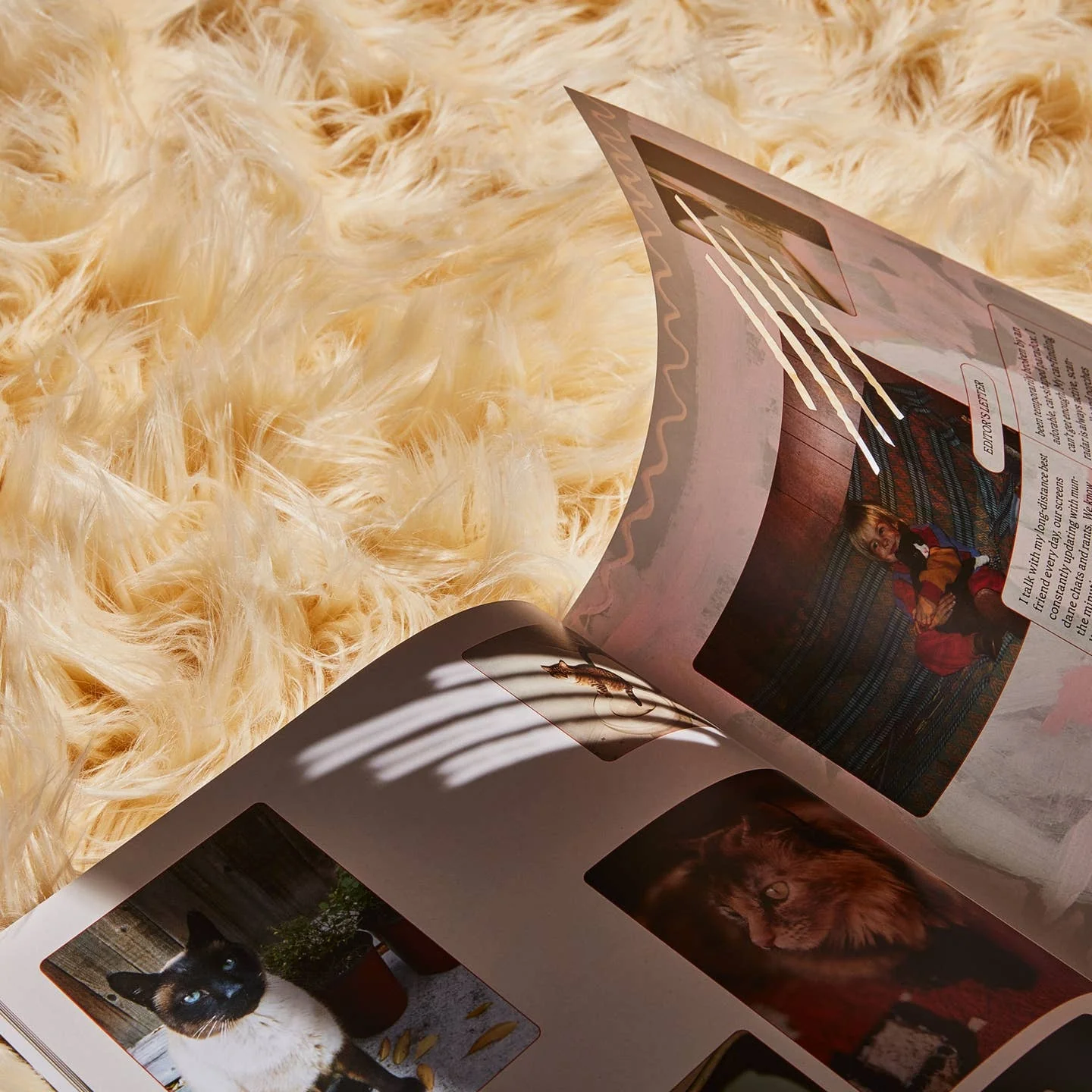 Catnip Magazine - Image 4