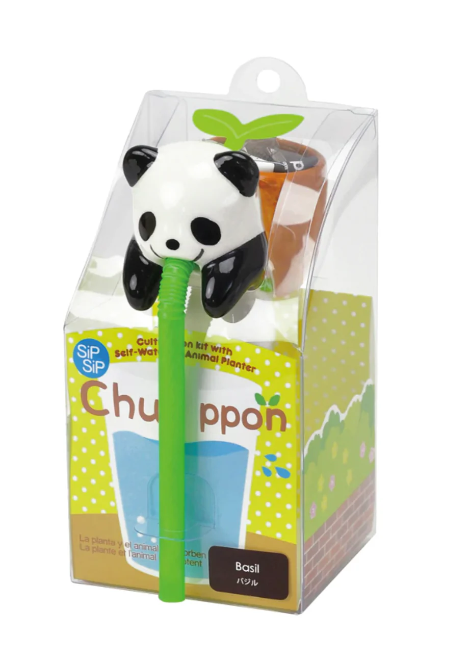 Chuppon Mini Planter - Image 4