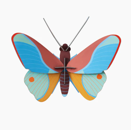 Claudina Butterfly