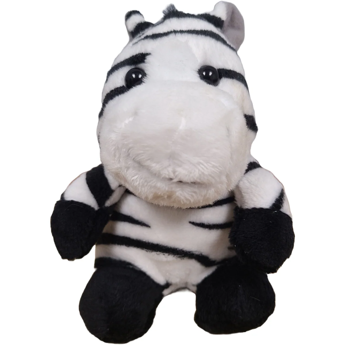 Coco the Canned Zebra - Image 3