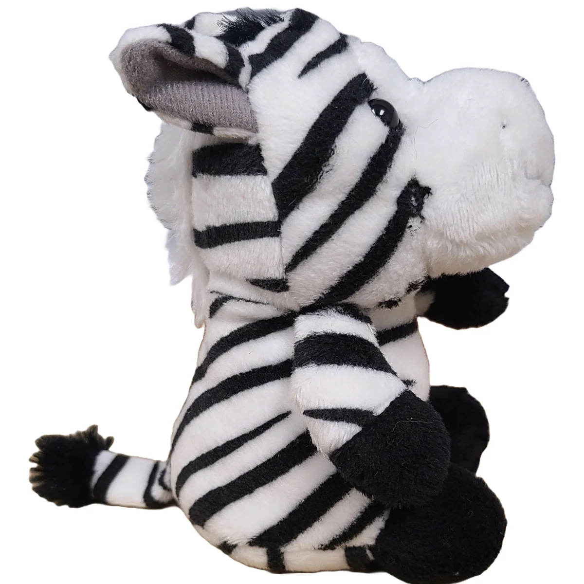 Coco the Canned Zebra - Image 4