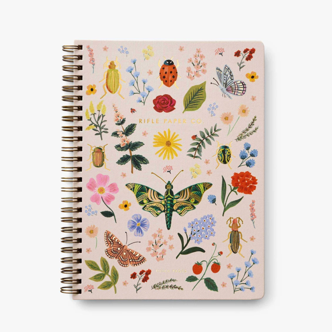 Curio Spiral Notebook