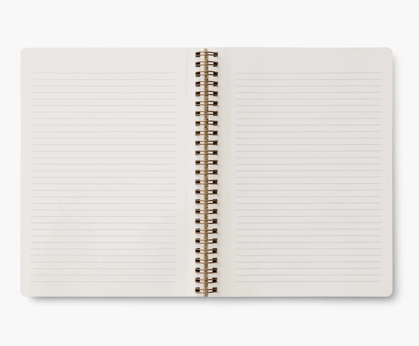 Curio Spiral Notebook - Image 2