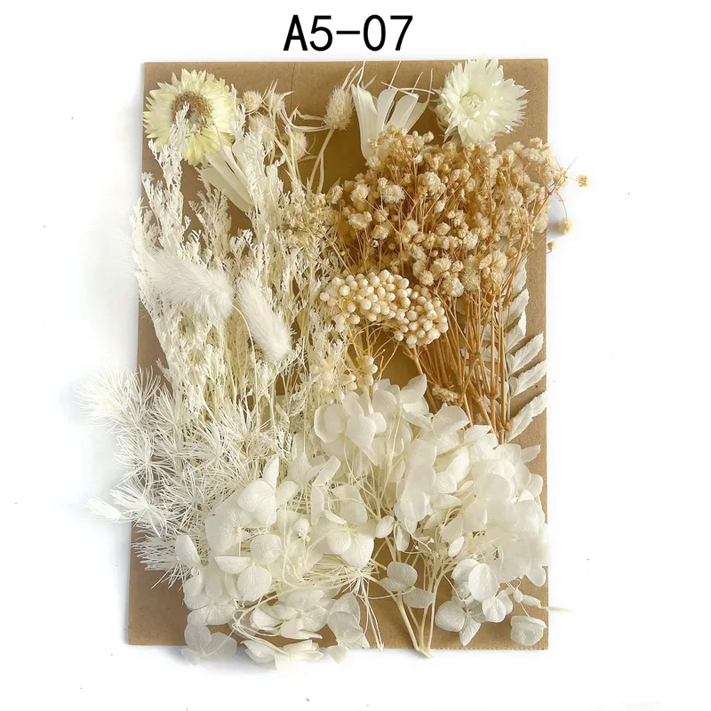 Dried Flower Kit - Image 8
