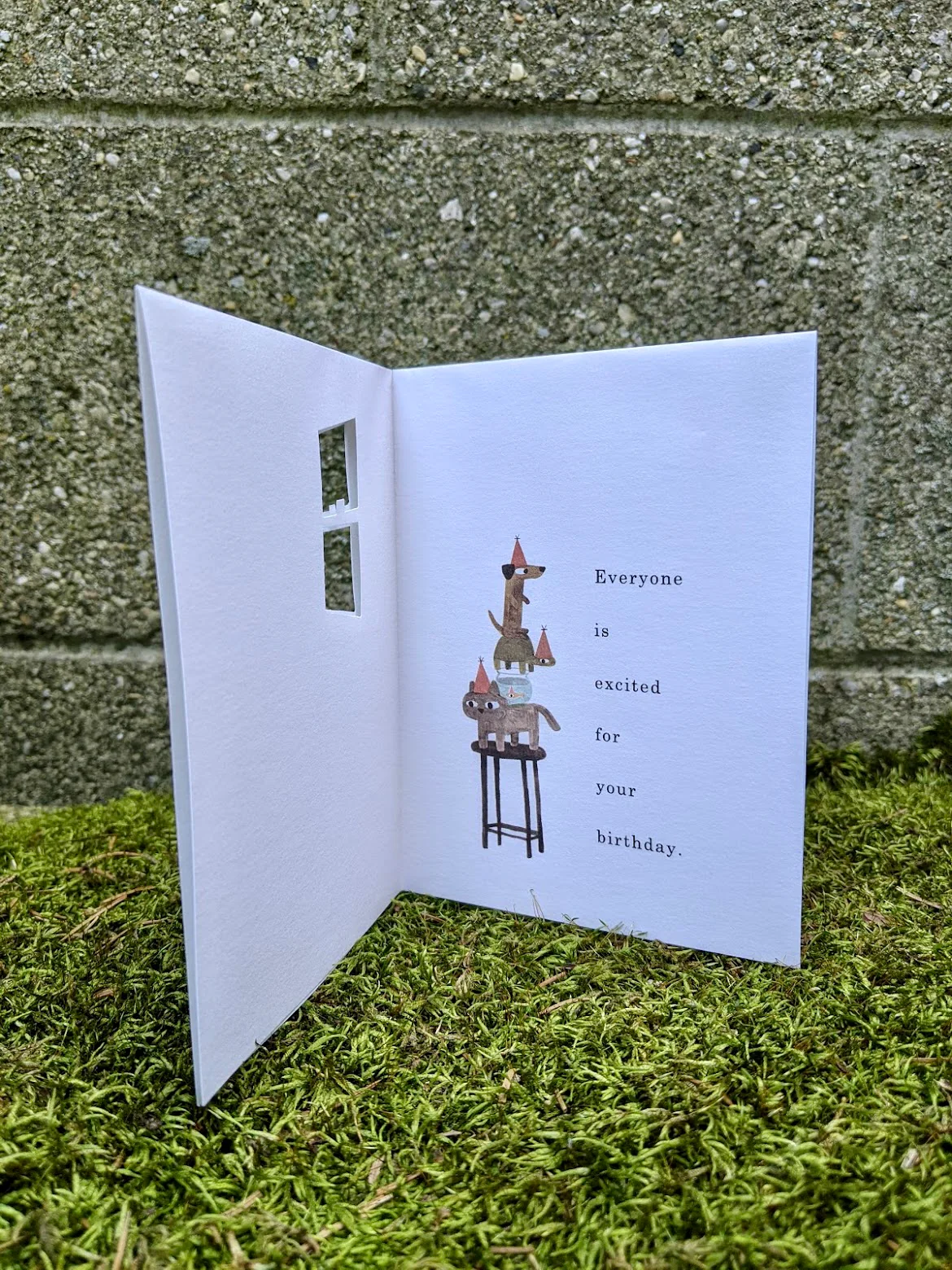 Everyone is Excited Card - Image 4