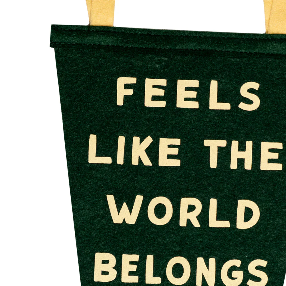 Feels Like The World Belongs Fishtail Pennant - Image 3