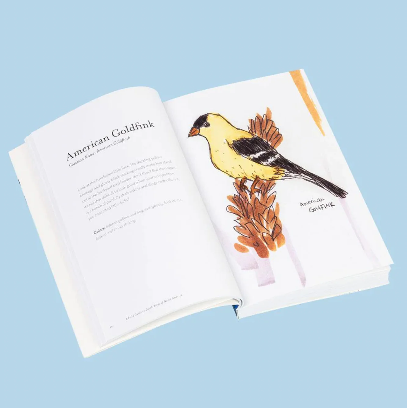 Field Guide To Dumb Birds of North America - Image 3