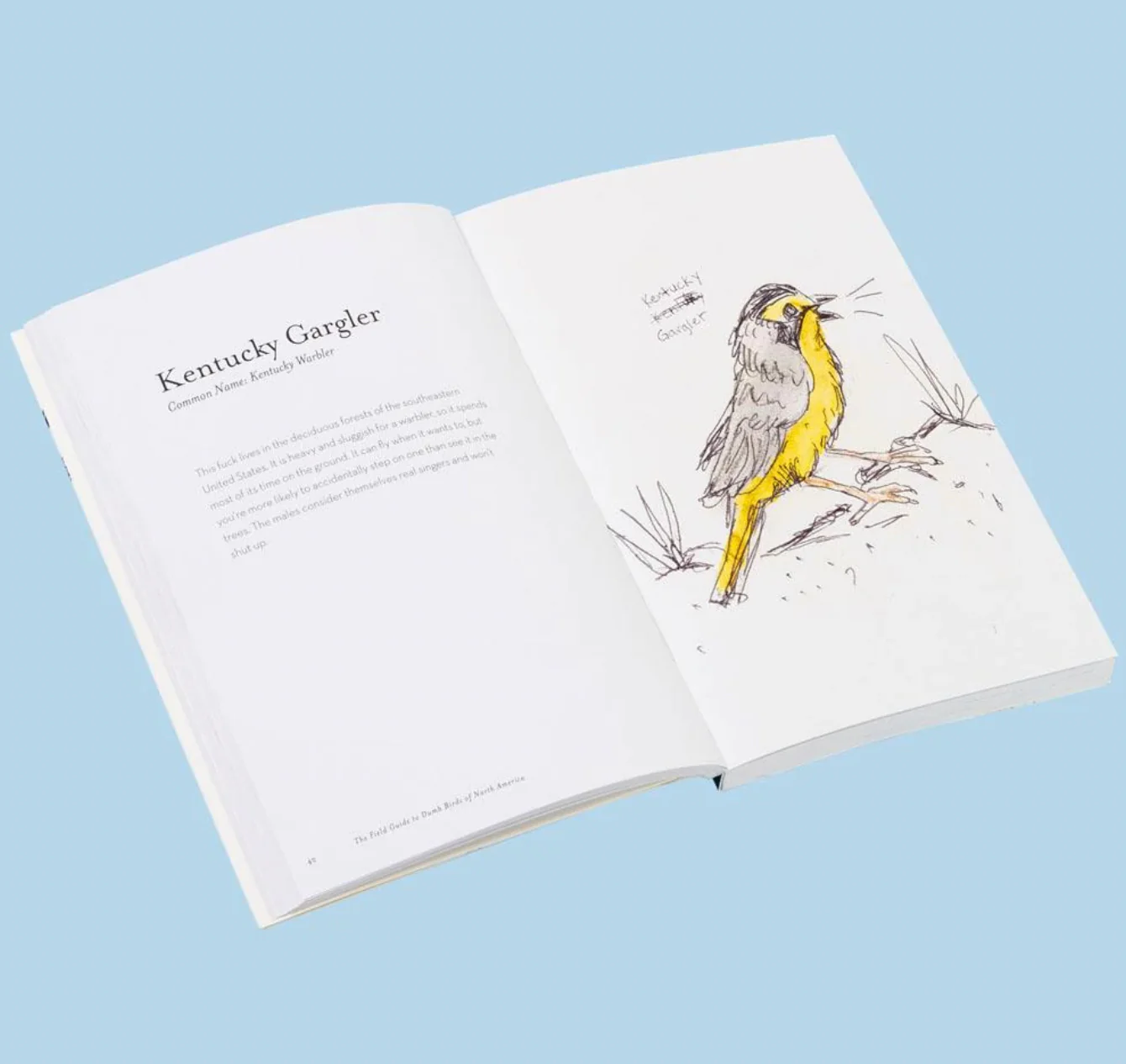 Field Guide To Dumb Birds of North America - Image 4