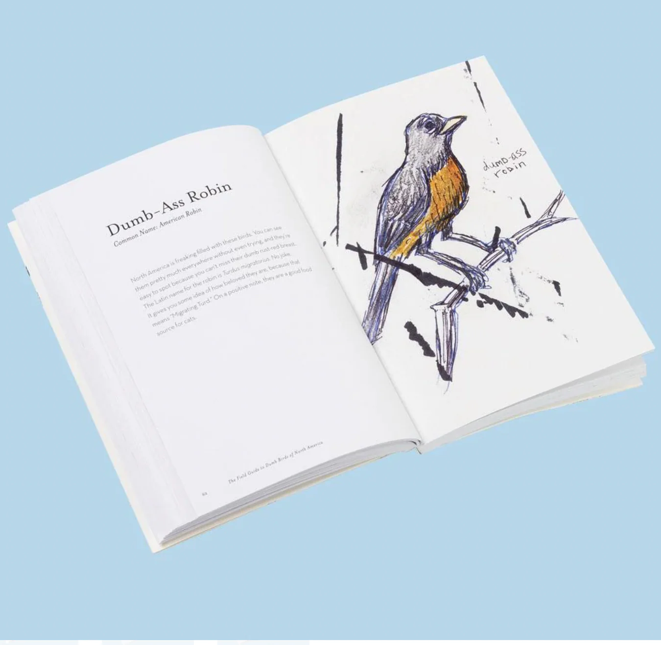 Field Guide To Dumb Birds of North America - Image 6