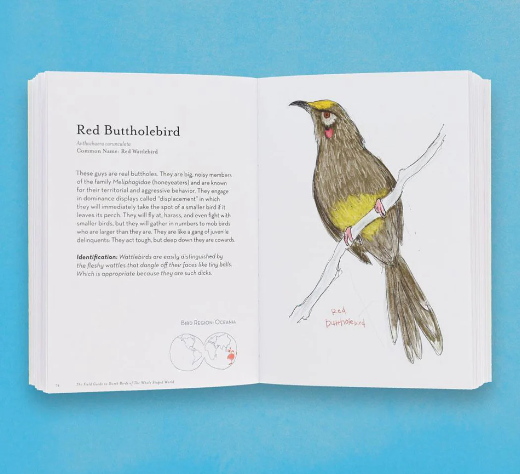 Field Guide To Dumb Birds of the Whole Stupid World - Image 3