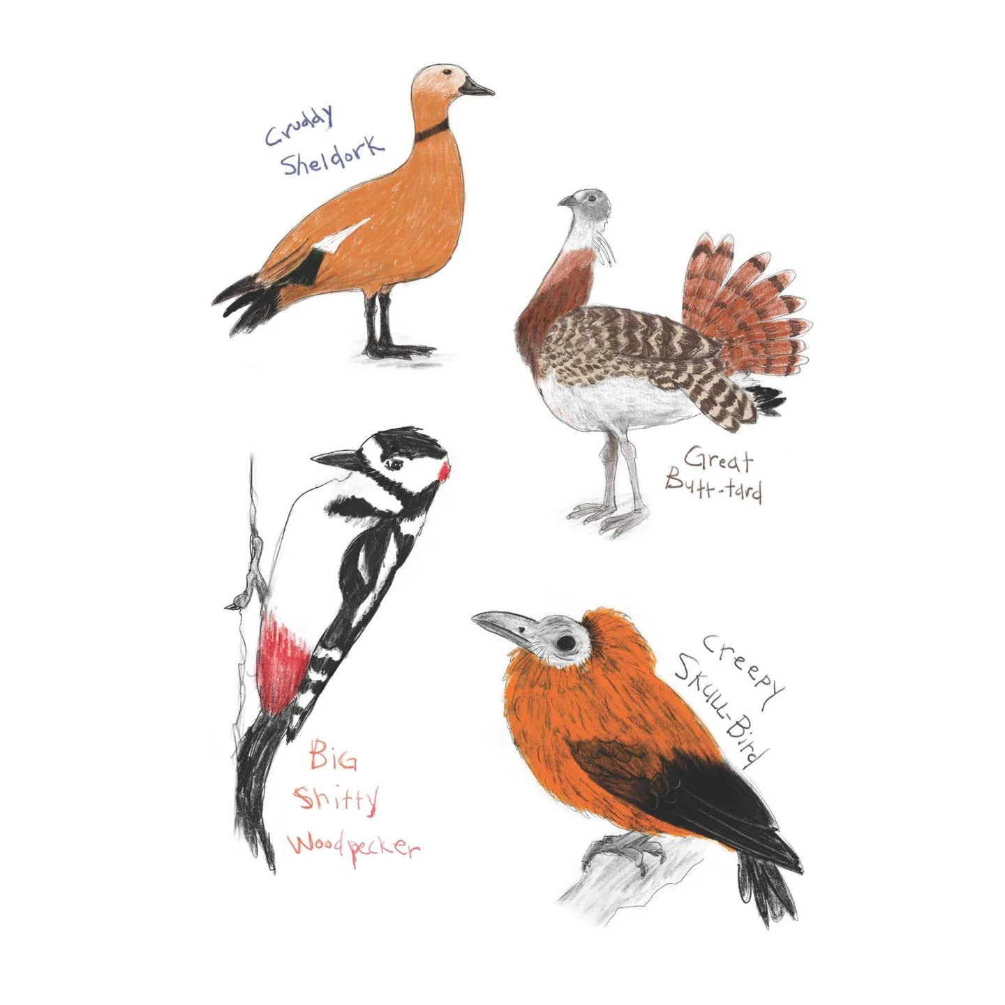 Field Guide to Dumb Birds Sticker Book - Image 3