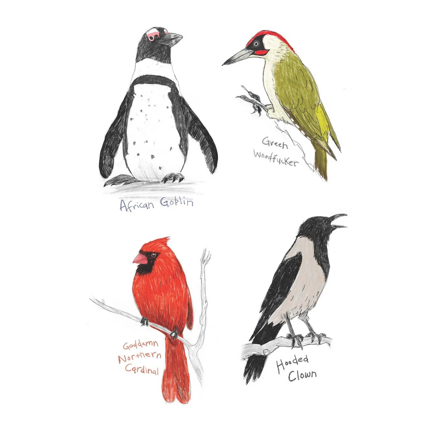 Field Guide to Dumb Birds Sticker Book - Image 4
