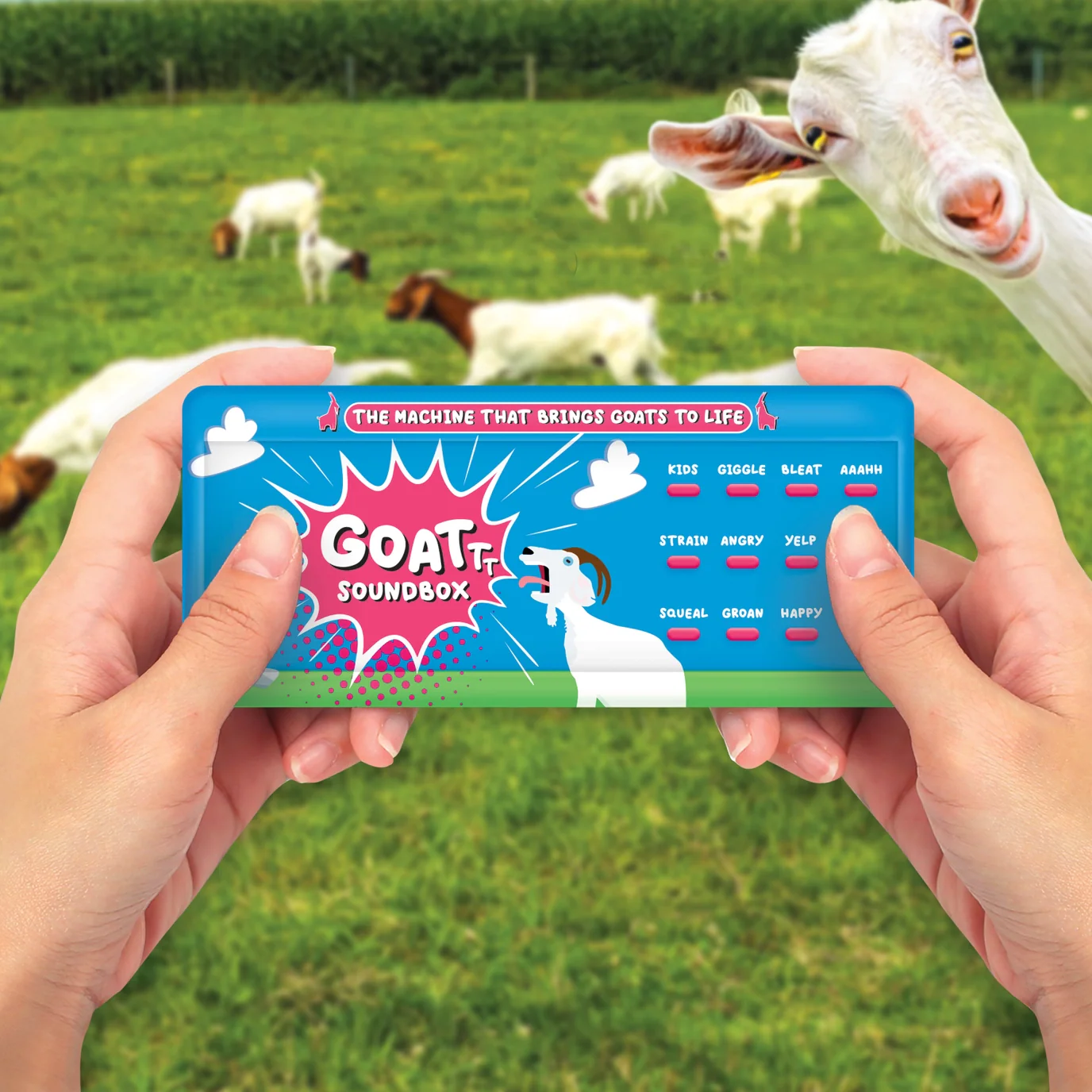 Goat Soundbox - Image 3