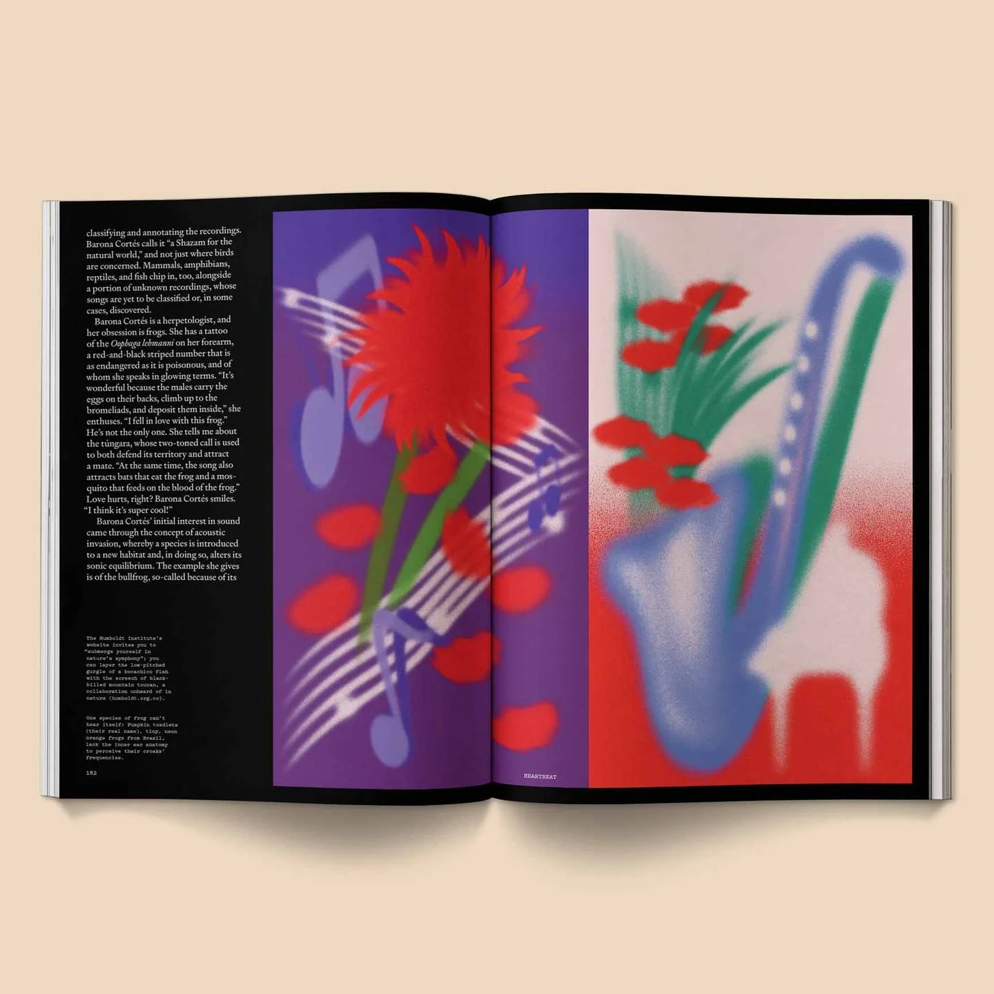 Heartbeat Magazine: Music, Sound, Emotion - Image 4