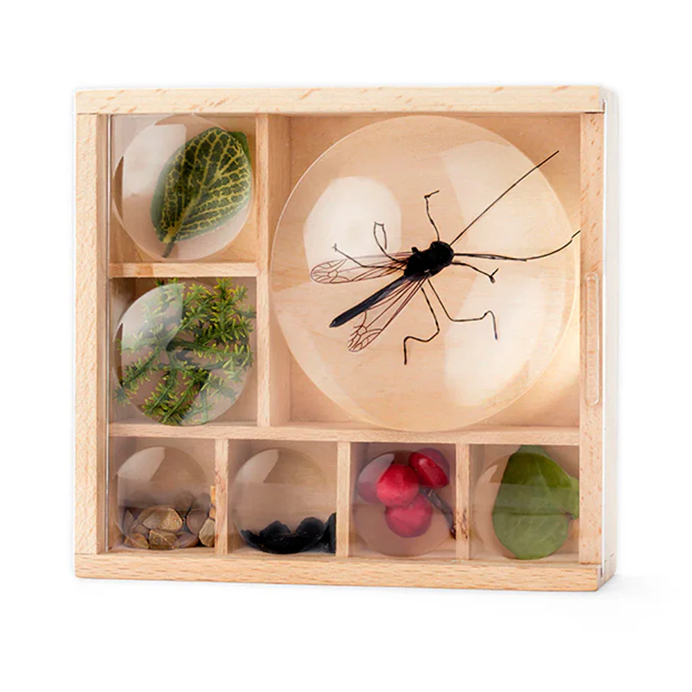 Huckleberry Bug Box