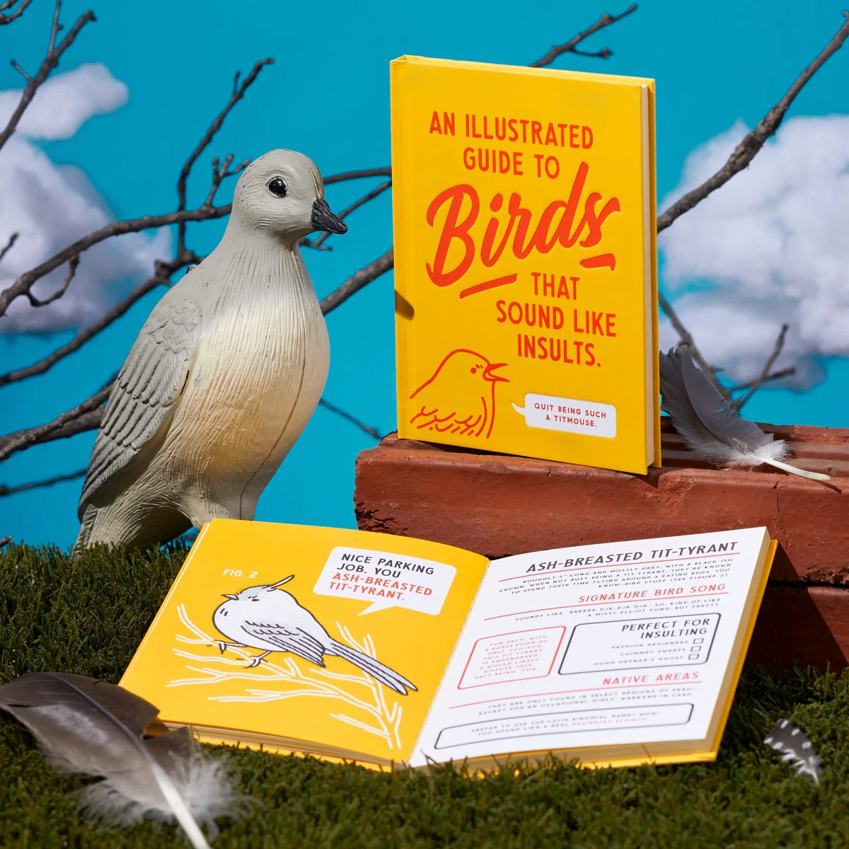 Illustrated Guide to Birds that Sound Like Insults - Image 2
