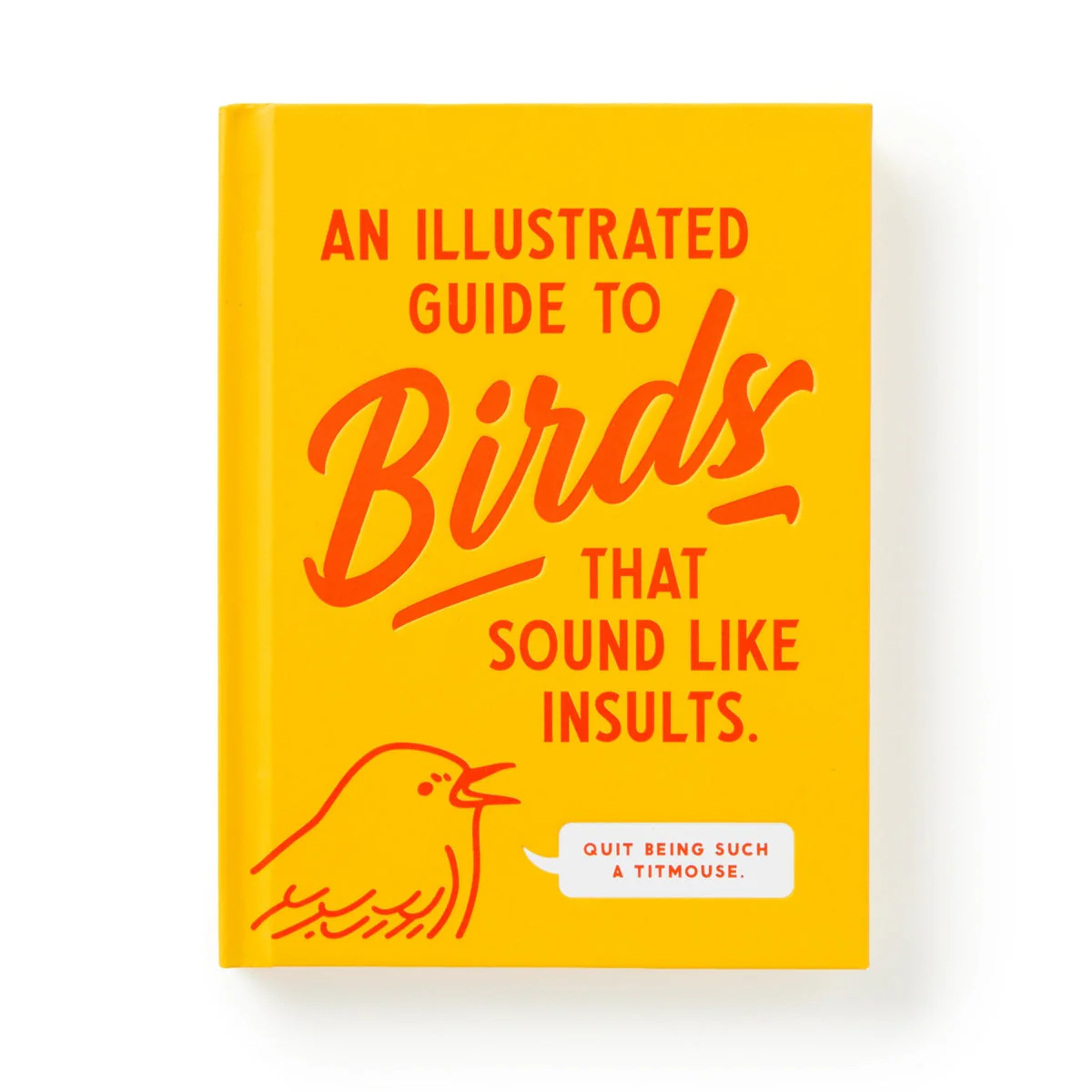 Illustrated Guide to Birds that Sound Like Insults - Image 3