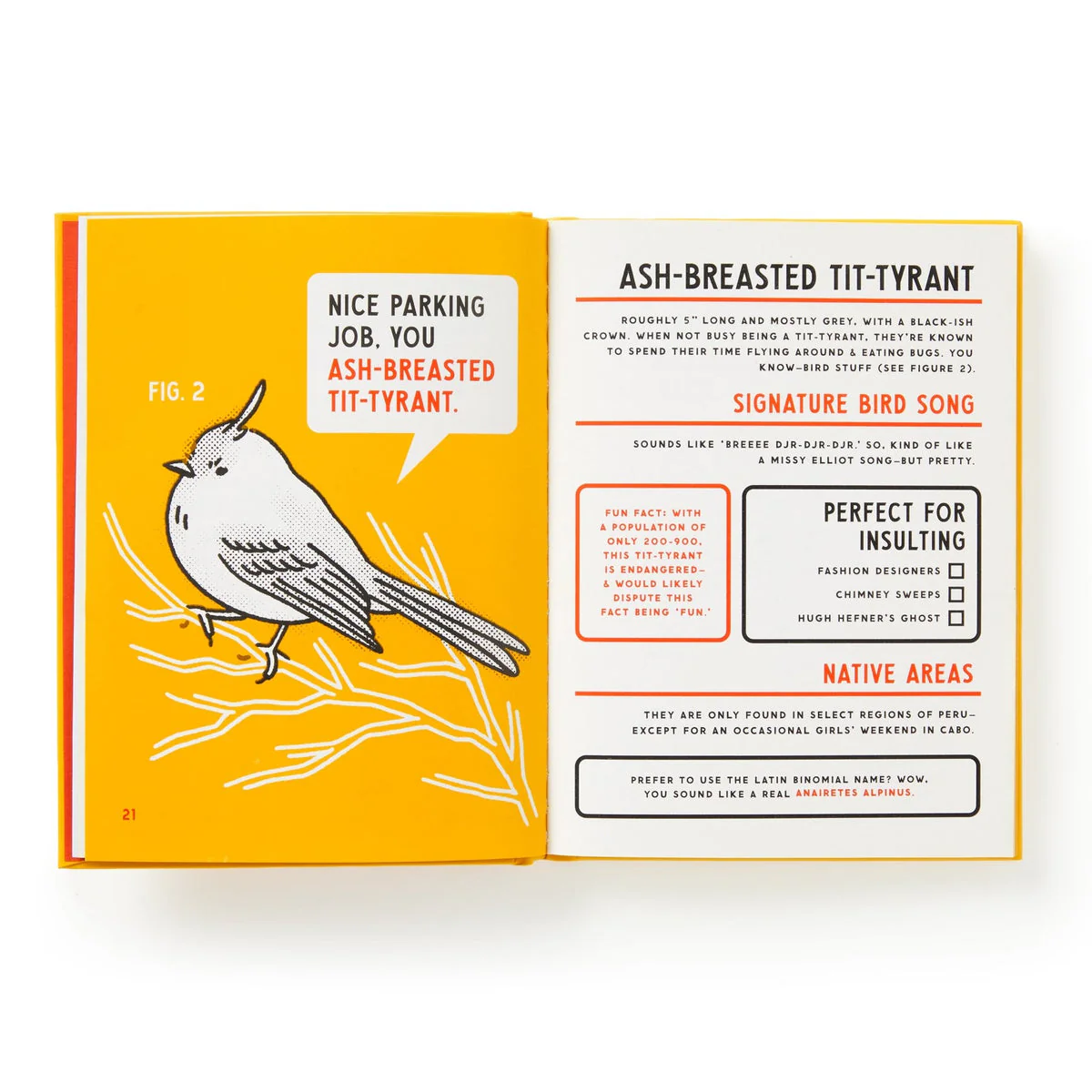 Illustrated Guide to Birds that Sound Like Insults - Image 6