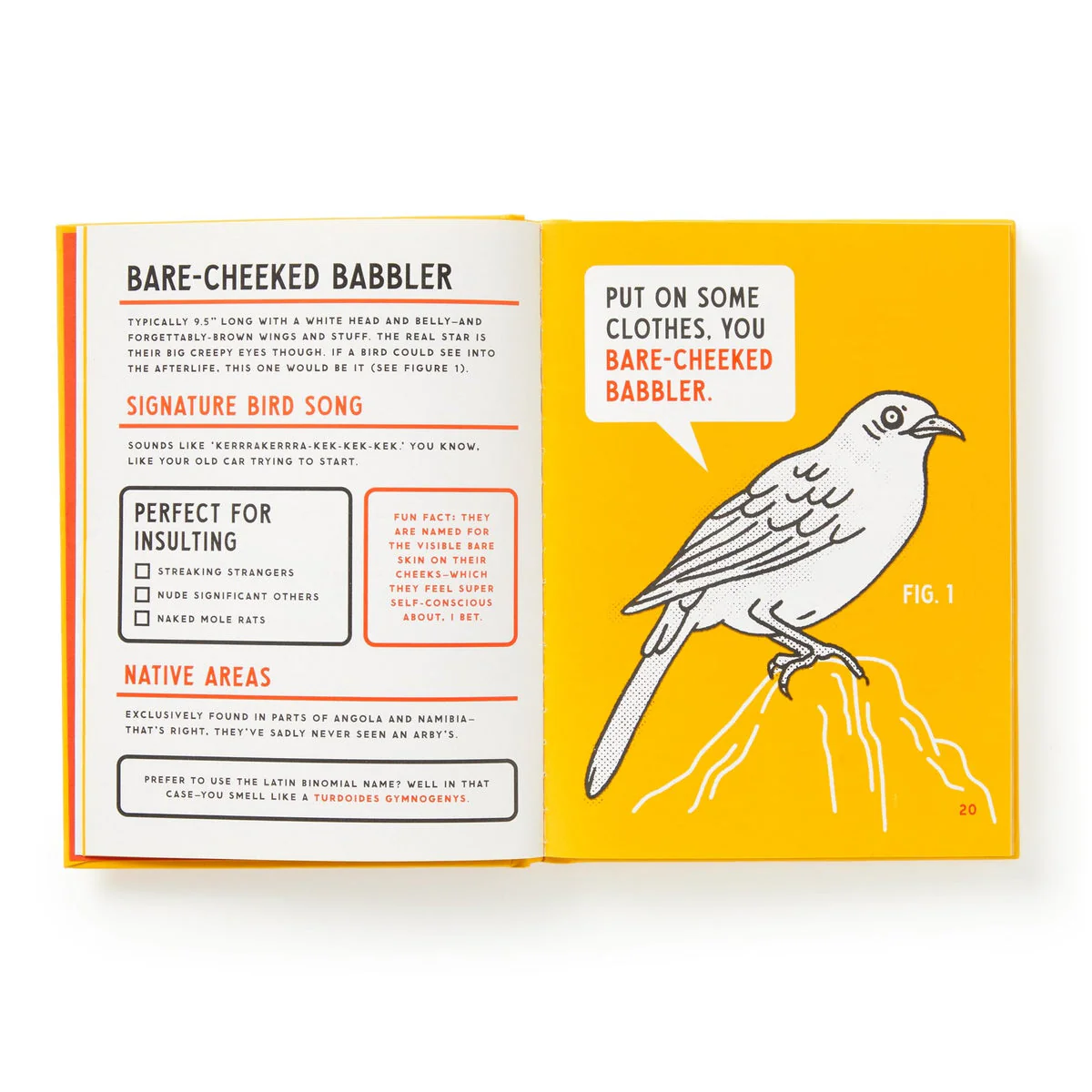 Illustrated Guide to Birds that Sound Like Insults - Image 7