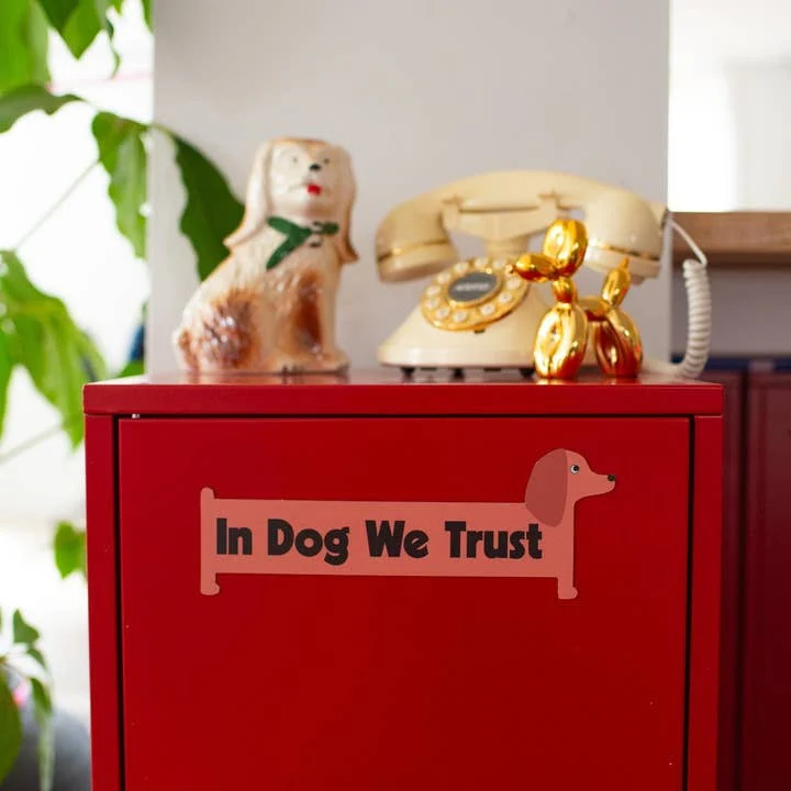In Dogs We Trust Bumper Magnet - Image 2