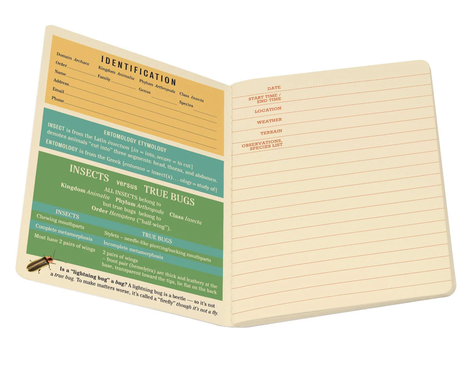 Insect Notebook - Image 3