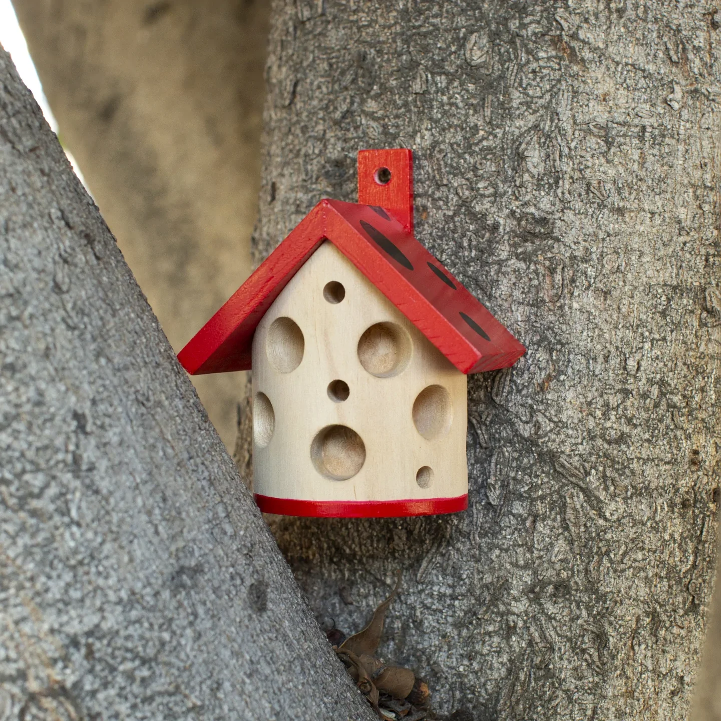 Ladybug House - Image 4