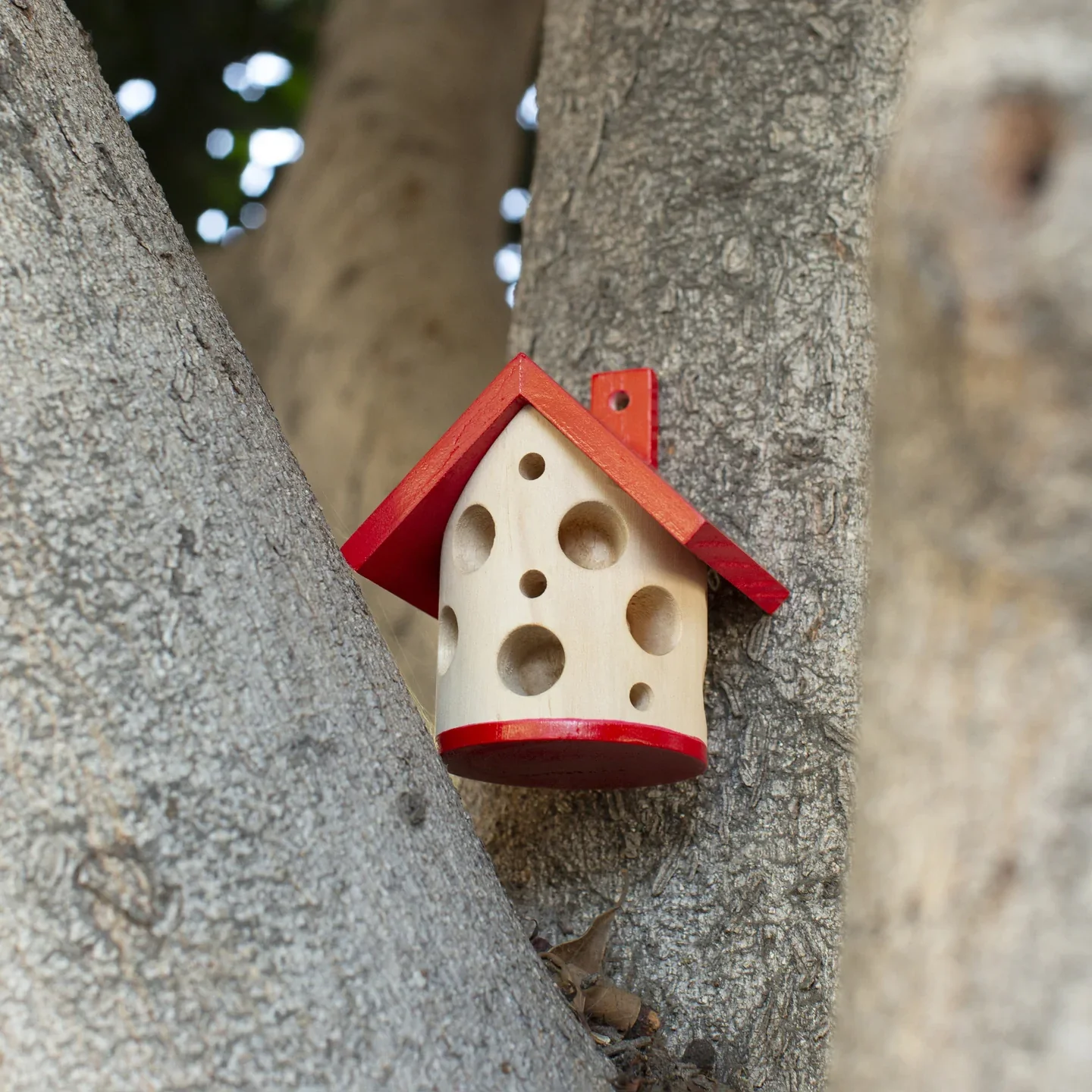 Ladybug House - Image 5