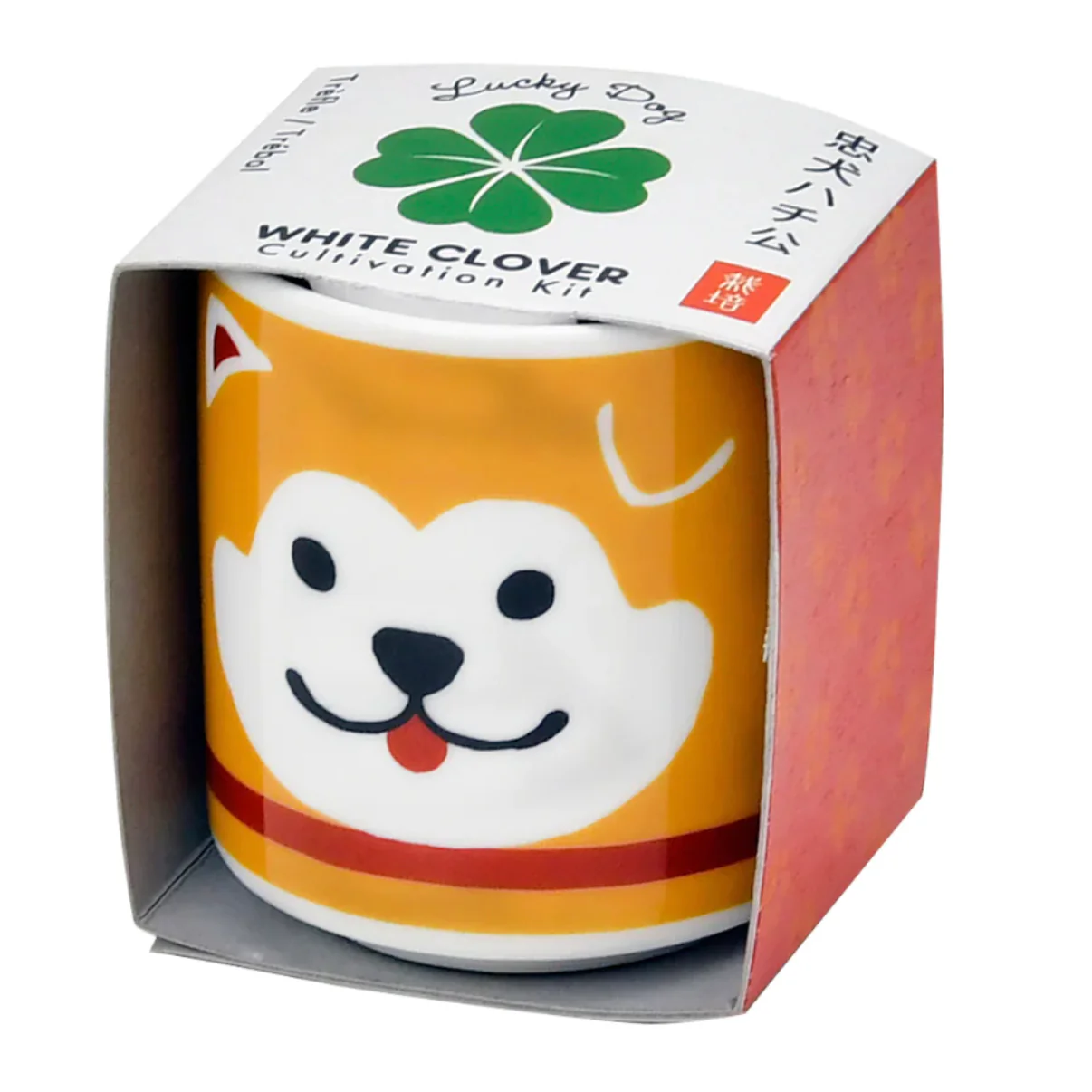 Lucky Plant - Hachi Dog