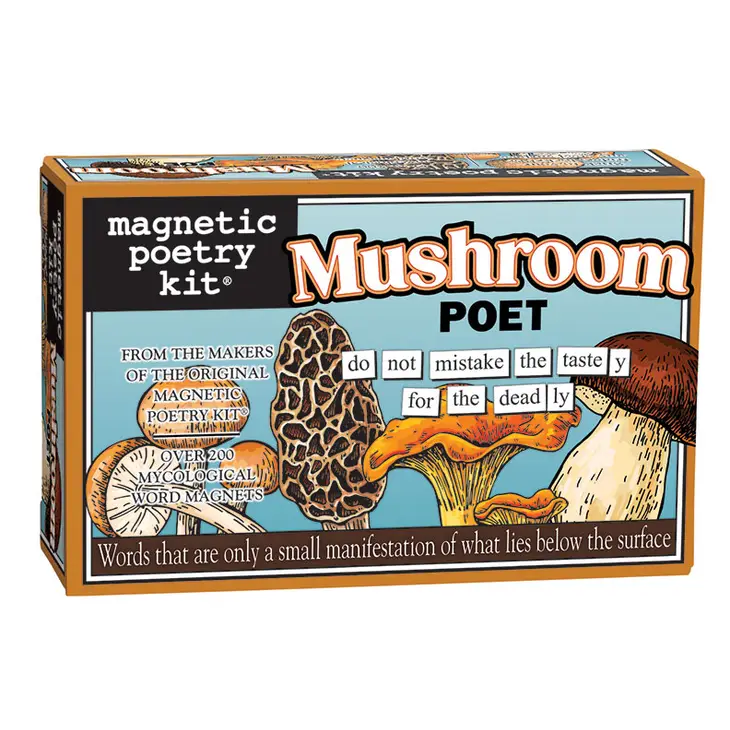 Magnetic Poetry Kit - Image 11
