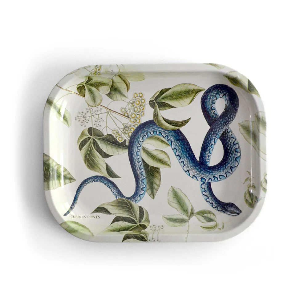 Metal Blue Snake Tray