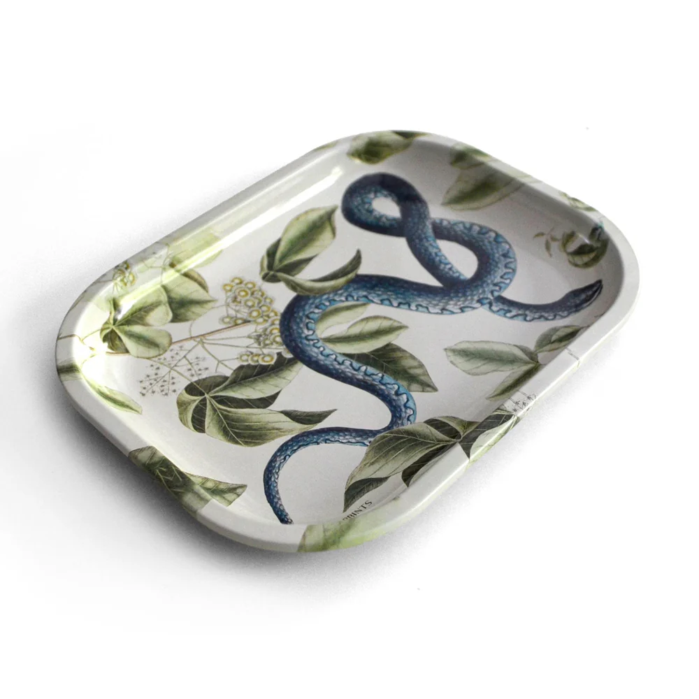 Metal Blue Snake Tray - Image 2