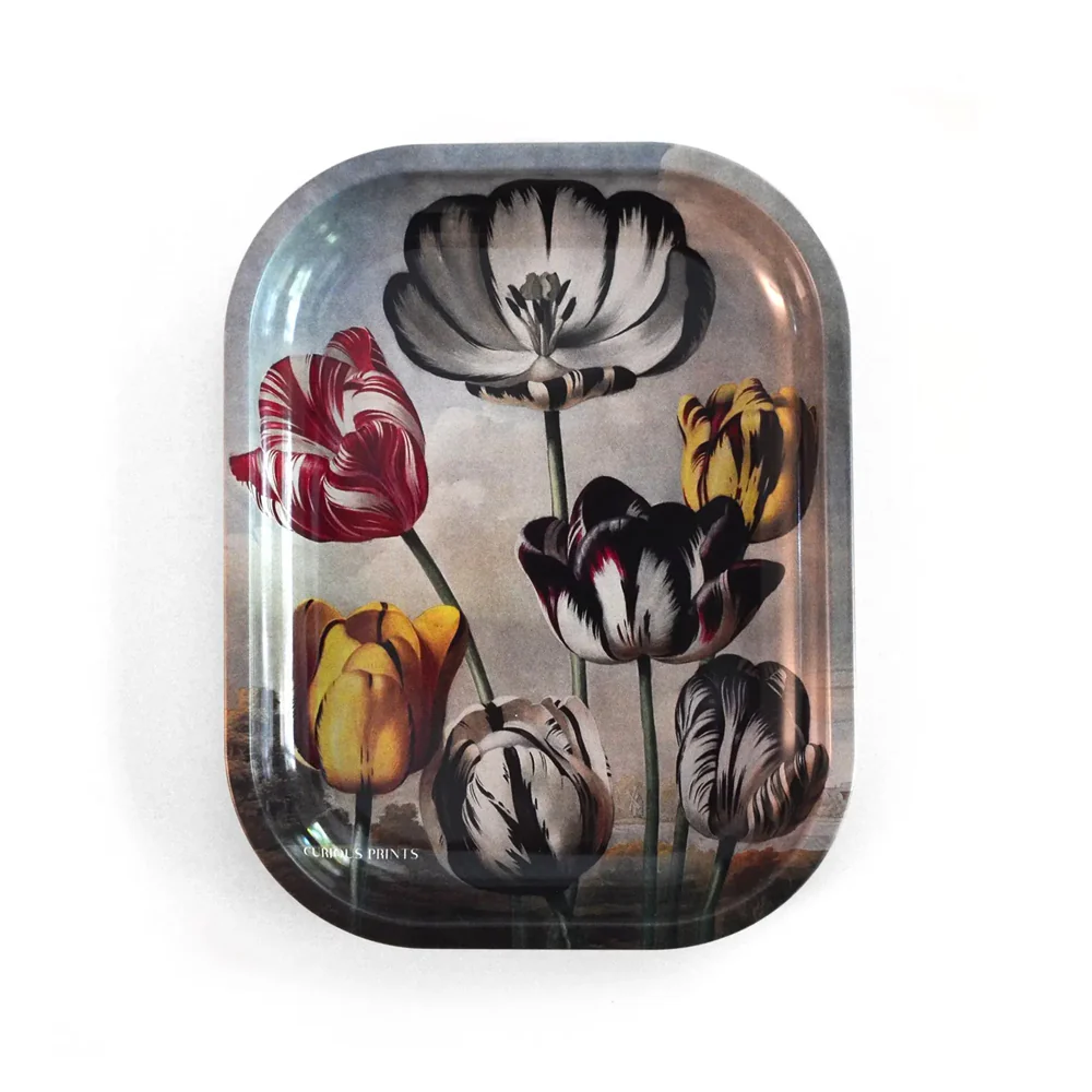 Metal Botanical Tulip Tray