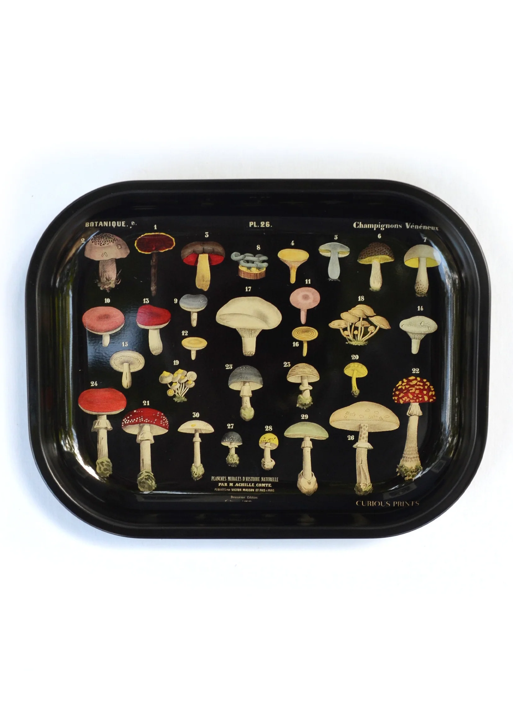 Metal Mushroom Tray