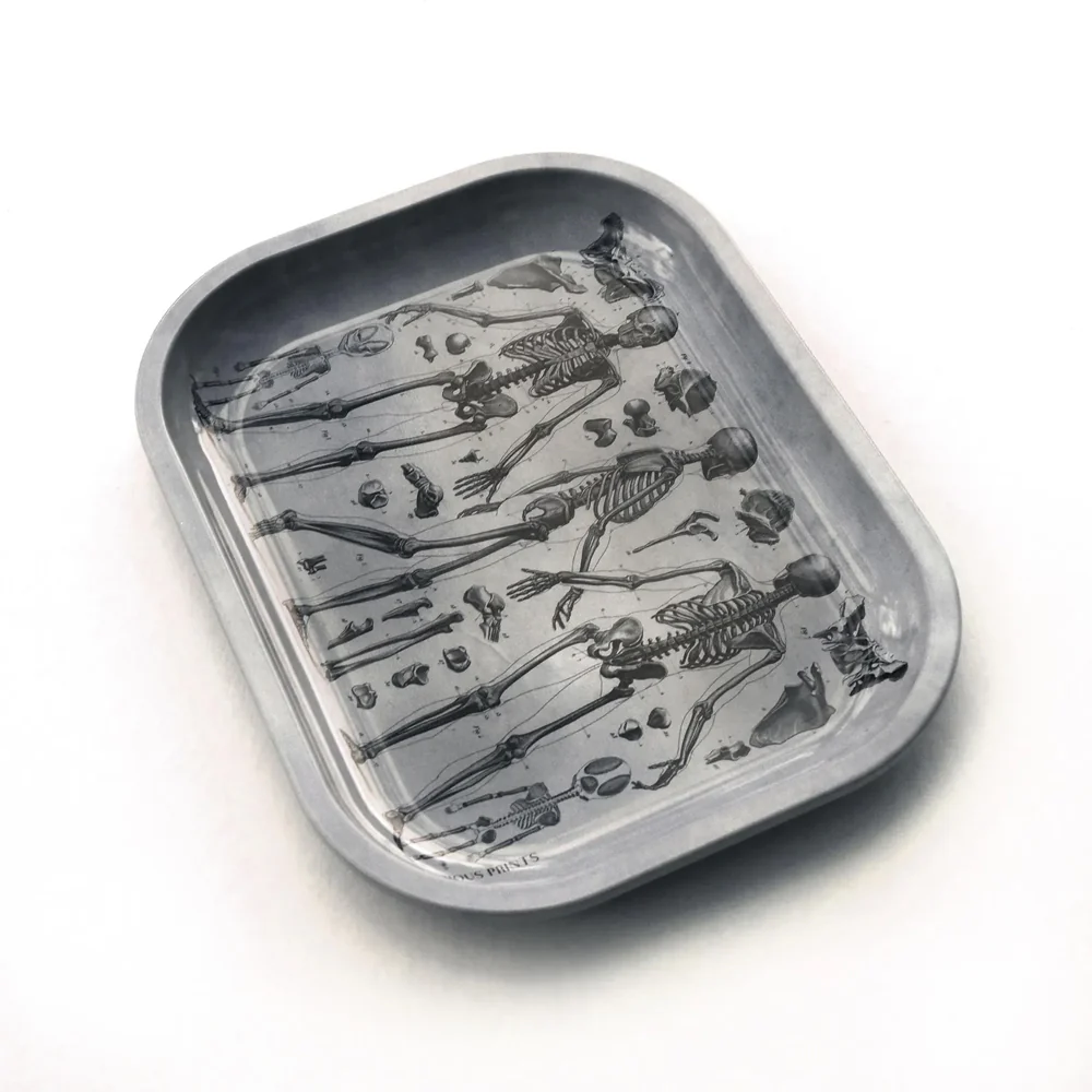 Metal Skeleton Diagram Tray - Image 2