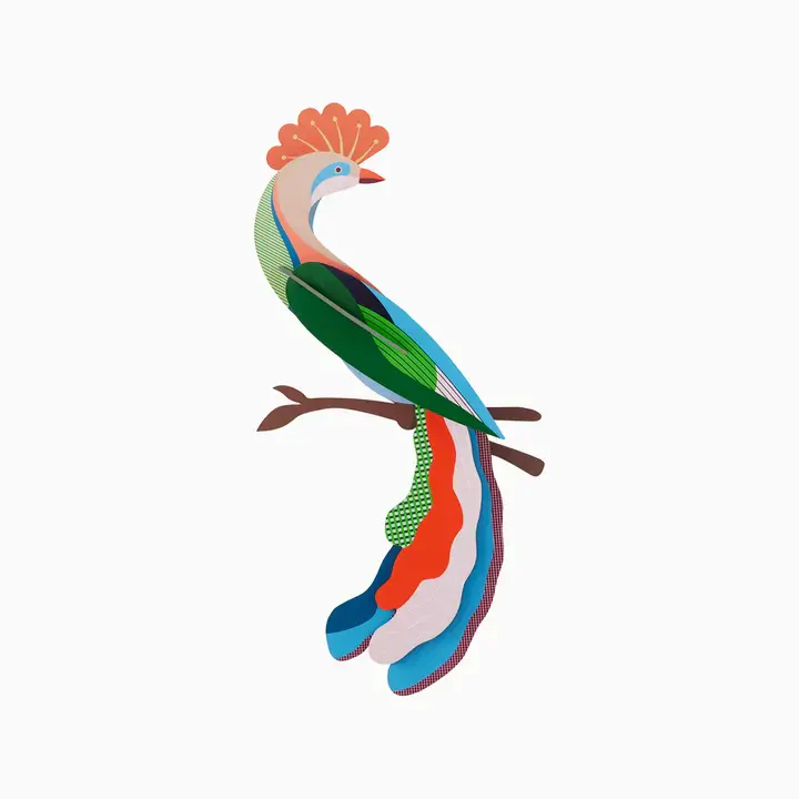 Meti Bird Kit