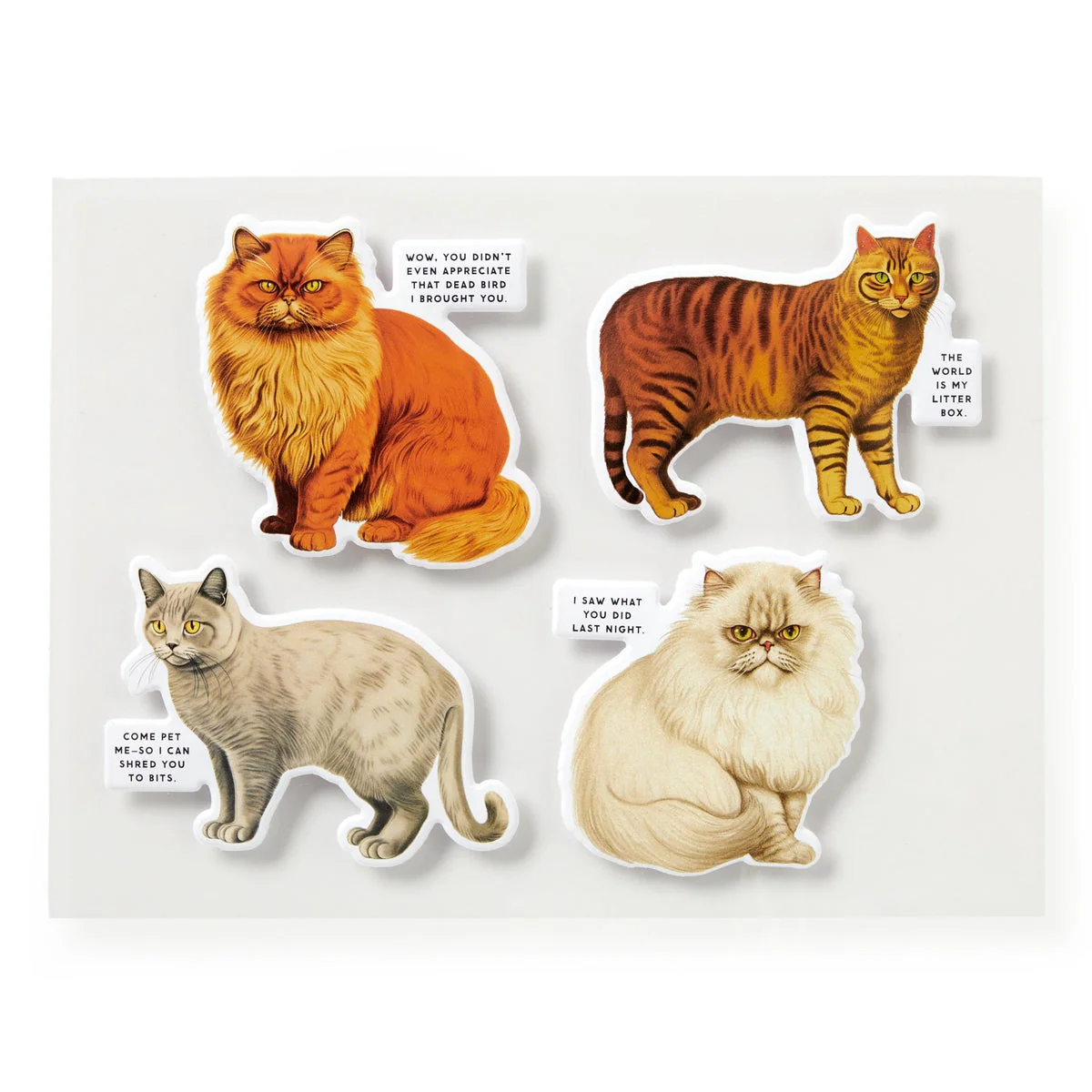 Moody Cats Puzzle - Image 5