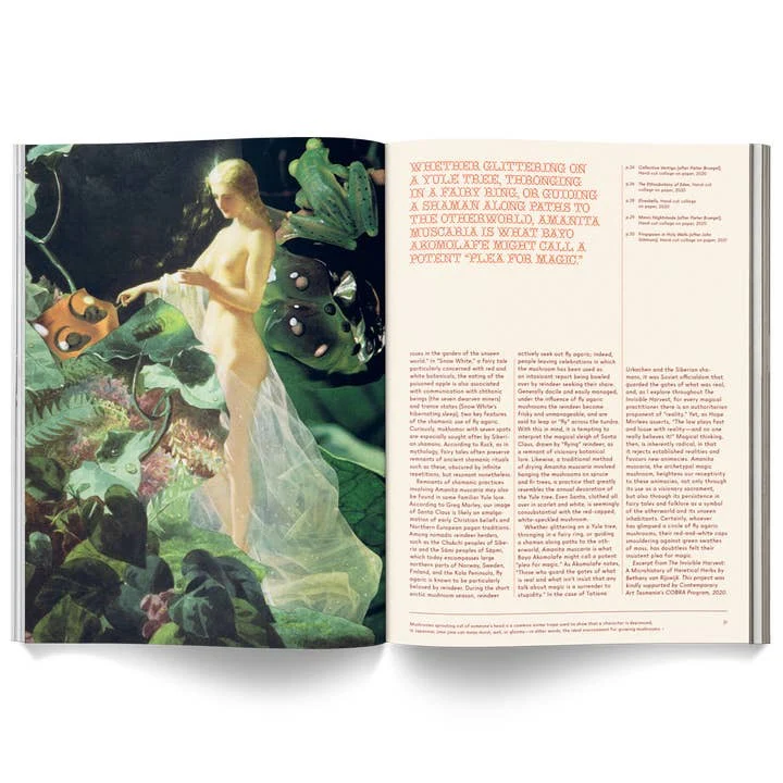 Mushroom People Magazine - Image 4